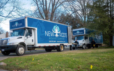 Fall Moving Tips